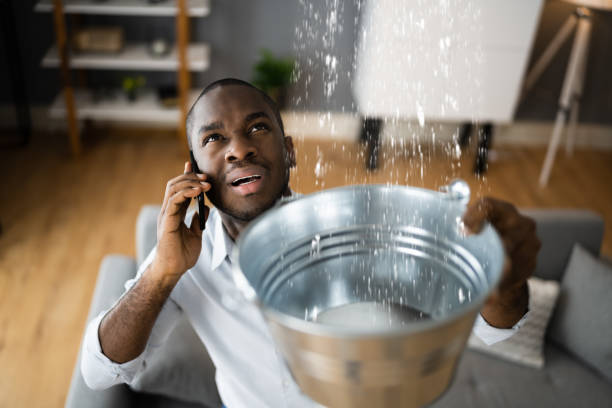 Best Water damage restoration near me  in Wacousta, MI