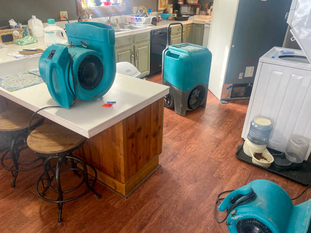 Best Residential water damage restoration  in Wacousta, MI