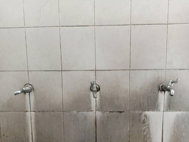 Reliable Wacousta, MI Water damage restoration Solutions