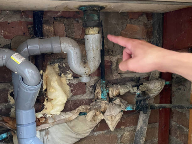 Best 24-hour water damage restoration  in Wacousta, MI